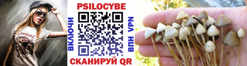 где можно купить   Сухой Лог  Псилоцибиновые грибы GOLDEN TEACHER 